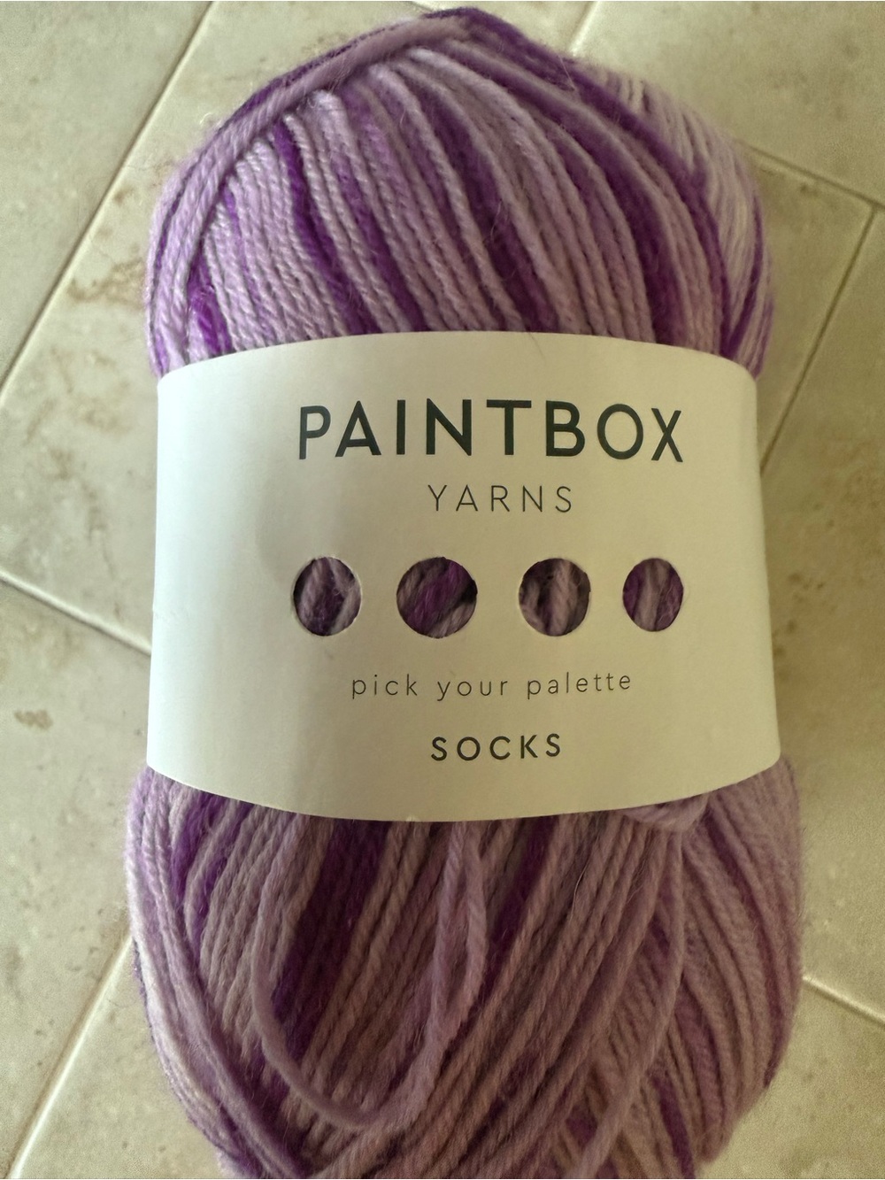 Paintbox Yarns Lavender Variegated Sock Yarn 1 Skein Zebra Violette